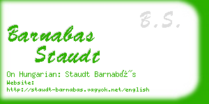 barnabas staudt business card